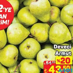 DEVECİ ARMUT KG DEVECİ ARMUT KG